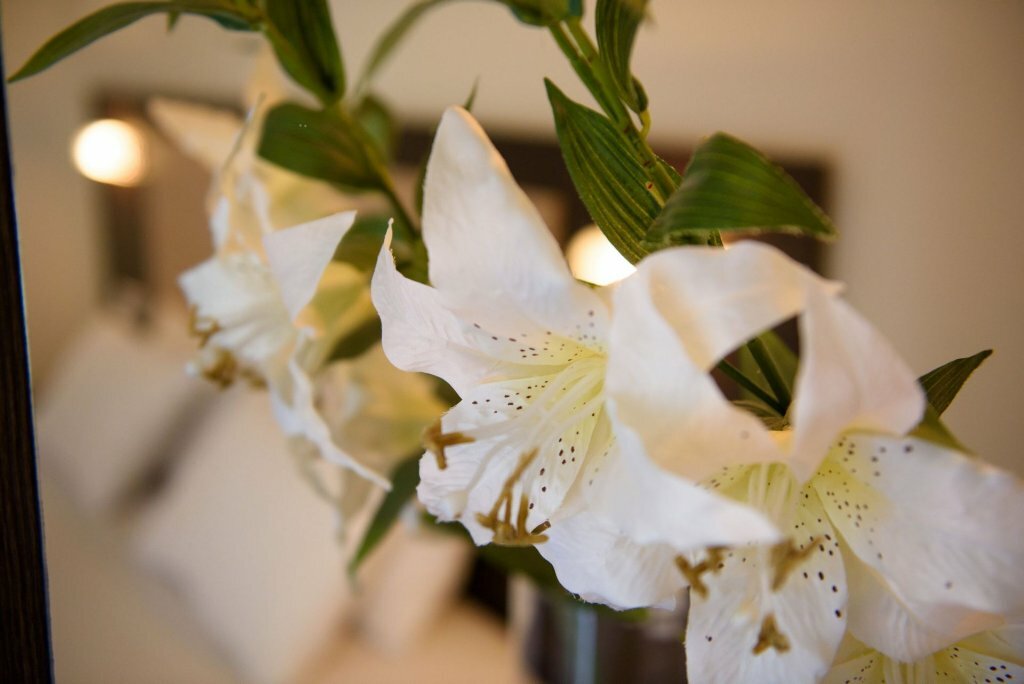 Amalia Corfu Hotel - Adults Only