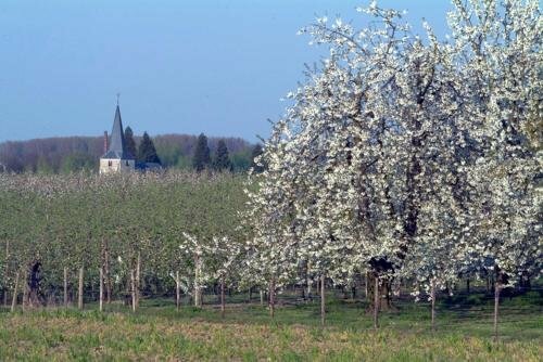 Château de la Motte, Prenota Hotel Hotel a Haspengouw con colazione, Colazione
