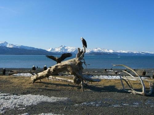 Brigitte's Bavarian Bed und Breakfast, Book Hotel Alaska hoteller med parkering, Parkering