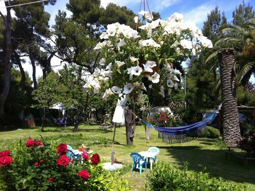 Villa Tropical, Prenota Villa Cottage a Abruzzo, Cottage