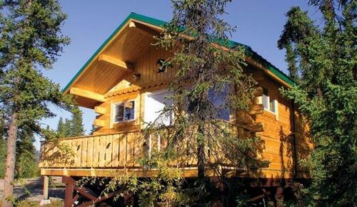Denali Grizzly Bear Resort, Book Ferieresort Denali National Park 