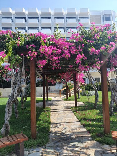 Alion Beach Hotel, Забронировать Отель Отели Айия-Напа 5 звезд, рядом с Пляж Глики Неро, 5*
