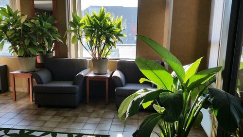 Avenue Motel, Забронировать Мотель Миссиссога Greater Toronto Area