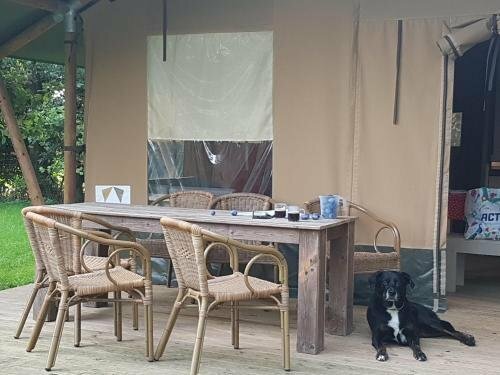 Lodge 61, Rezervovat Hotel Medemblik West-Friesland