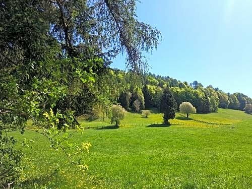 Hotel Oberwirt, Забронировать Отель Верано Burgraviato