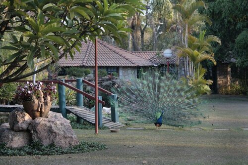 Pousada Villa Buonabitacolo