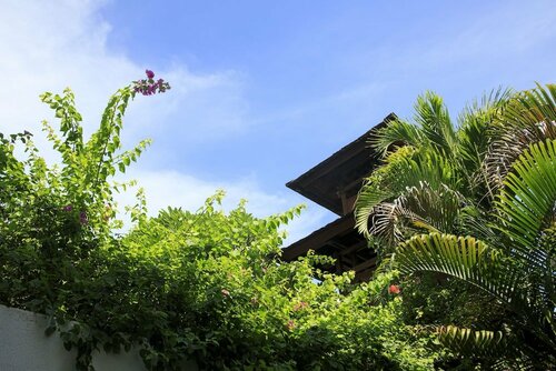 Villa La Sirena 4 by Nagisa Bali, Забронировать Вилла Отели провинции Бали 4 звезды, 4*