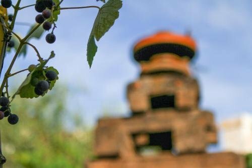 Corte Trullo Sovrano B&B, Забронировать Отель «постель и завтрак» Альберобелло Bari Province