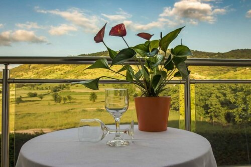 Giotis Boutique Hotel, Book Hotel Hotels in Epirus with a Pool, Swimming Pool