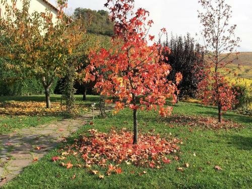 Residence delle Rose, Prenota Hotel Monforte dʼAlba Langhe