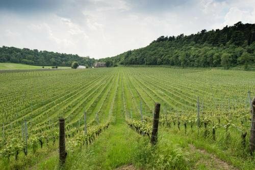 Agriturismo Pratello, Забронировать Отель Отели Паденге-суль-Гарды 3 звезды, 3*