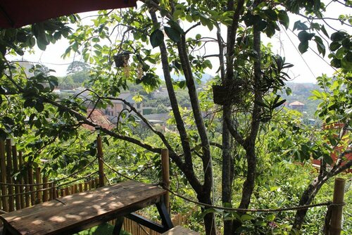 Nay Bungalow Dalat, Buchen Sie Campingplatz Camping & Glamping in Lam Dong, Campingplatz