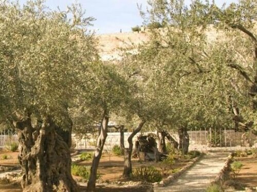Mount of Olives Hotel, Забронировать Отель Иерусалим Иерусалимский округ, рядом с Елеонская гора