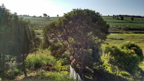 Em Plena Natureza, Забронировать Отель Капитолиу Serra da Canastra