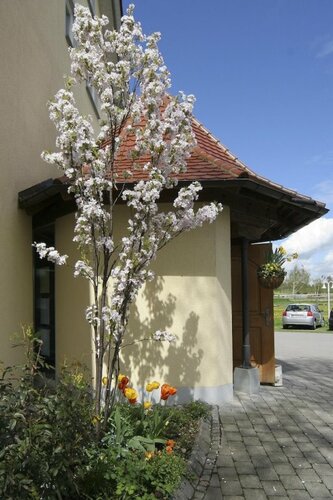Hotel Gierer, Reservar Hotel Hotéis em Lake Constance com Piscina, Piscina