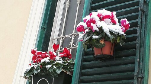 Bed  Breakfast Termini Gold, Забронировать Отель Отели Лацио 3 звезды, 3*