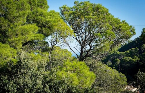Sr-22 Begur SA Riera 6 PAX, Book Hotel Hoteller i Girona med morgenmad, Morgenmad