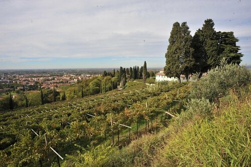 Il Convento di Villa San Fermo, Prenota Villa Lonigo 