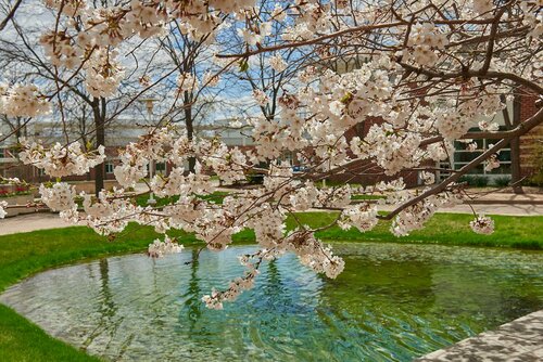 The Penn Stater Hotel and Conference Center, Buchen Sie Hotel State College Pennsylvania