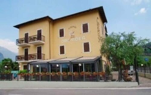 Orchidea