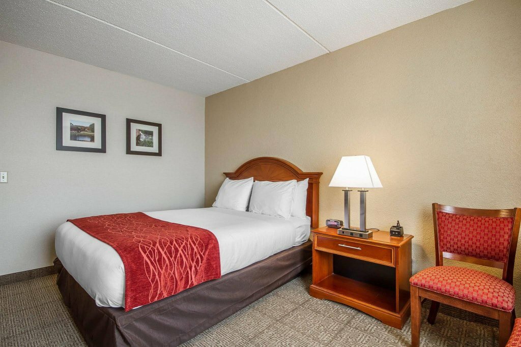 Comfort Inn Madison - Downtown