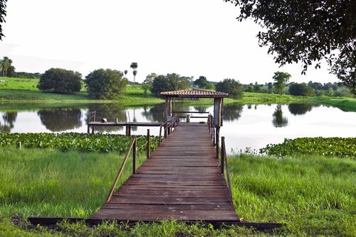 Pantanal Ranch Meia Lua, Забронировать Гостевой дом Миранда 