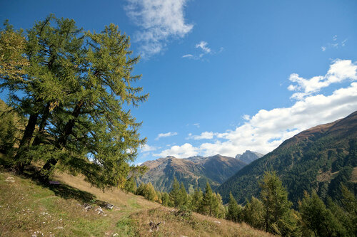 Hotel-Restaurant Drei Tannen, Buchen Sie Hotel Niederwald Kanton Wallis