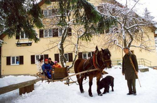 Guesthouse Arnika, Забронировать Отель Фужине 