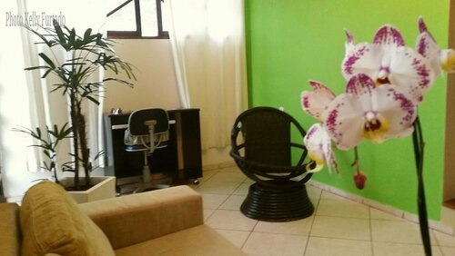 Green Hostel Ingleses
