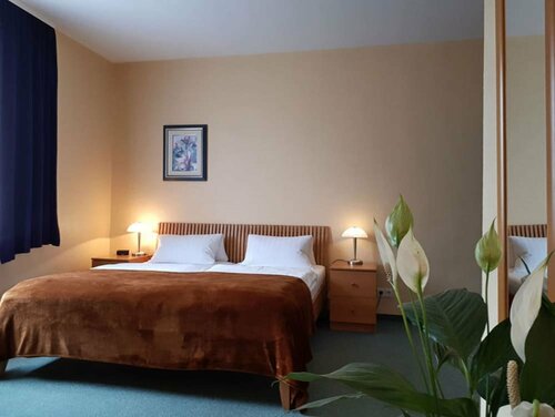 Hotel Krone, Book Hotel Haigerloch Germany