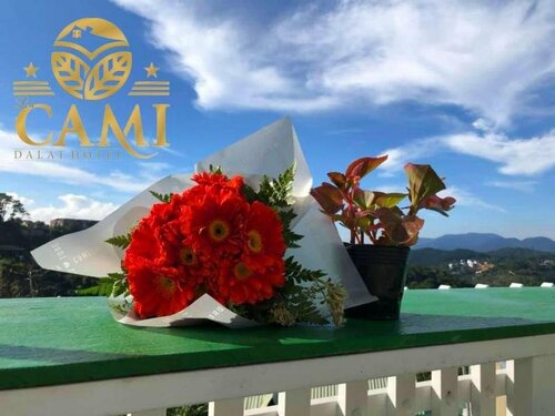 Lacami Dalat Hotel, Забронировать Отель Далат Ламдонг, рядом с Озеро Суан Хыонг