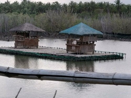 Punta Aguila Resort & Hotel, Rezerwuj Ośrodek wypoczynkowy Hotele w Quezon z Basenem, Basen