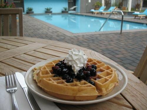 Maple Tree Inn, Забронировать Отель Саннивейл Silicon Valley