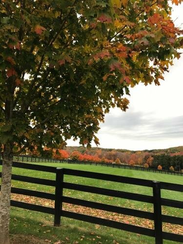Station Inn Pawling, Book Pension  