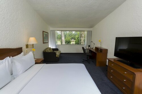 Fiesta Inn Pachuca Gran Patio, Book Hotel Hotels in Pachuca with a Pool, Swimming Pool