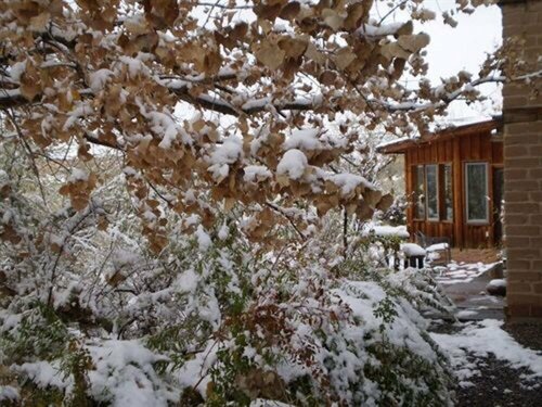 Silver River Adobe Inn Bed and Breakfast, Varaa Bed and Breakfast Farmington New Mexico