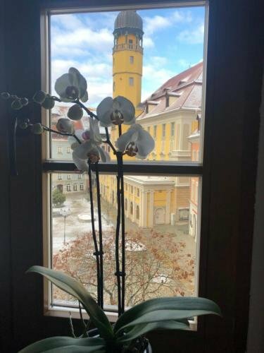 Zum Handtuch, Réserver Maison d'hôtes Bautzen Haute Lusace