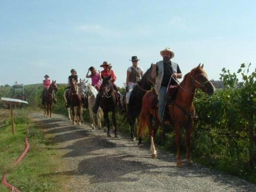 Agriturismo Pian dei Pini, Забронировать Отель Монтияно Тоскана