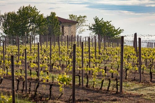 L'Ocanda Cascina Riva