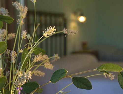 Borgo Le Capannelle, Book Hotel Hotels in Umbria with a Pool, Swimming Pool