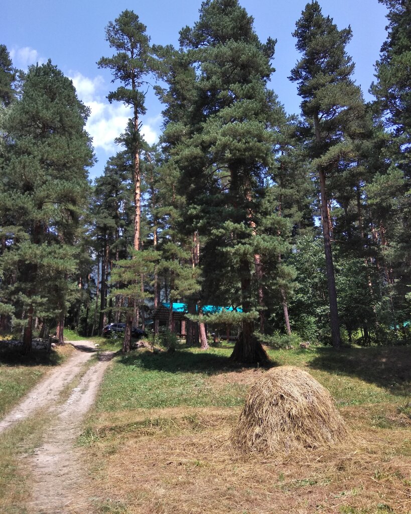 Благодать KamenSki