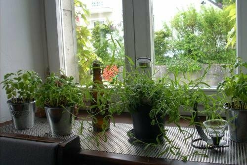 Hotel zur Eiche, Забронировать Отель Оберталь земля Саар