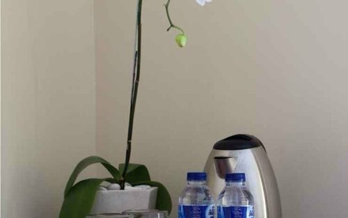 Jimbaran Lestari Hotel and Residence Spa, Rezerwuj Ośrodek wypoczynkowy Hotele w Bali z basenem, Basen