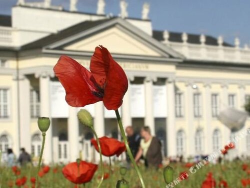 Hotel am Herkules, Rezervați Hotel Bad Wilhelmshoehe 
