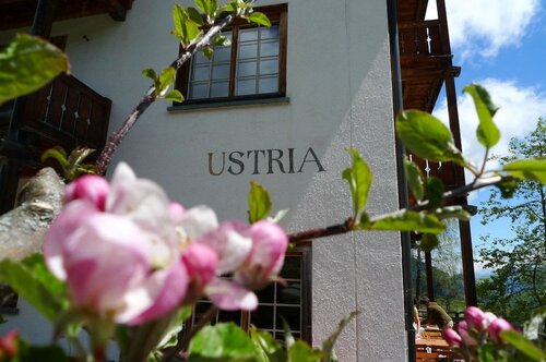 昂可立瓦酒店, 预订 酒店 瓦尔腾斯堡 Surselva