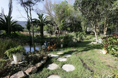 Waterland