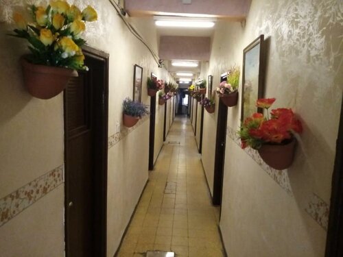 Cliff - Hostel, Rezervați Hostel Hosteluri în Amman Governorate, Hostel