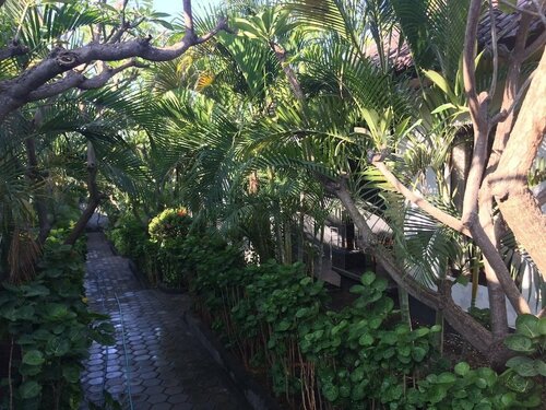 Scuba Tribe Bali dive-resort, Varaa Matkakoti Edulliset hotellit Karangasem:ssä