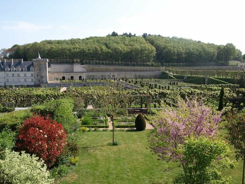 Le Petit Villandry, Prenota Bed & breakfast Hotel a Centro con piscina, Piscina