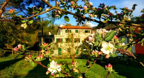 B&B Tre Ponti, Забронировать Отель Отели в центре Кастильйоне-Кьяварезе с завтраком, отели в центре Кастильйоне-Кьяварезе с завтраком